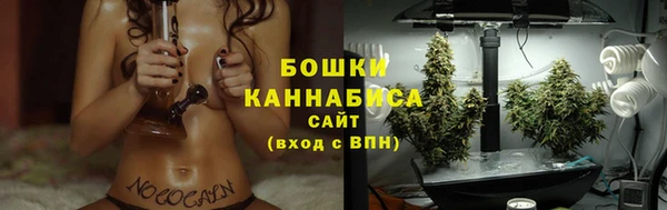 шишки Аркадак