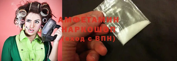хмурый Алзамай