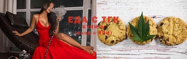 шишки Аркадак